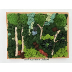 cod_1_1_12_tablou_luminis_poza_1