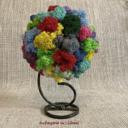 cod_4_24_aranjament_ce_chestie_poza_1