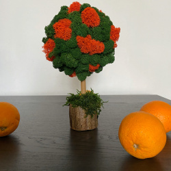 fullsizerender-4_1737317276