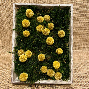 97a867c2-303b-4531-92fb-ada08ccc8405