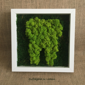 cod_1_2_11_tablou_maseluta