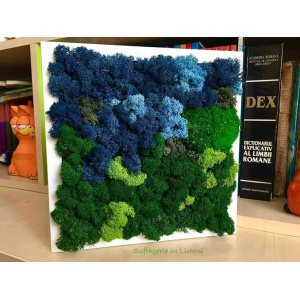 cod_1_2_14_1_tablou_padure_neagra