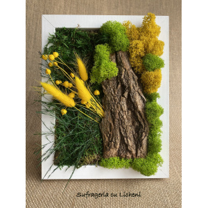 cod_1_2_23_tablou_andreea