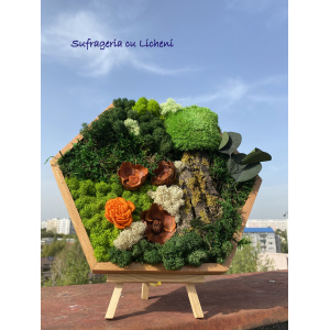 cod_1_2_5_1_tablou_hexagon