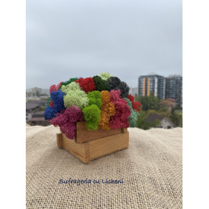 cod_6_2_2_minijardiniera_poza_3