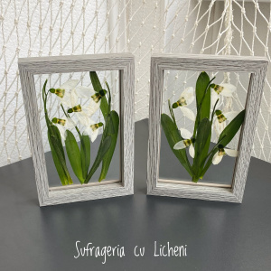 fullsizerender-2_899022556