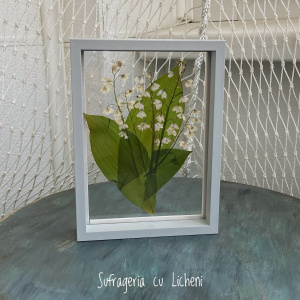 fullsizerender_535265101