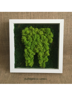 cod_1_2_11_tablou_maseluta