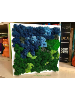 cod_1_2_14_1_tablou_padure_neagra