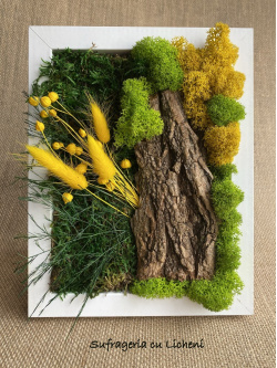 cod_1_2_23_tablou_andreea