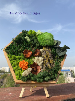 cod_1_2_5_1_tablou_hexagon