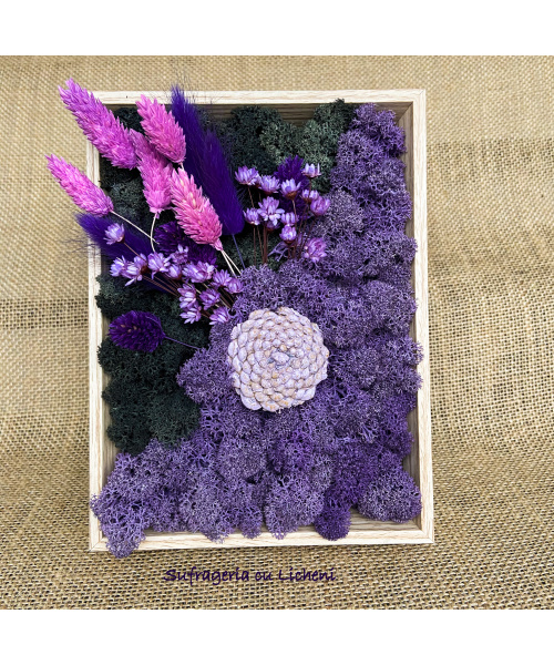 a6fba11c-c6c2-464d-9c8f-48a54f95623c_1149407429