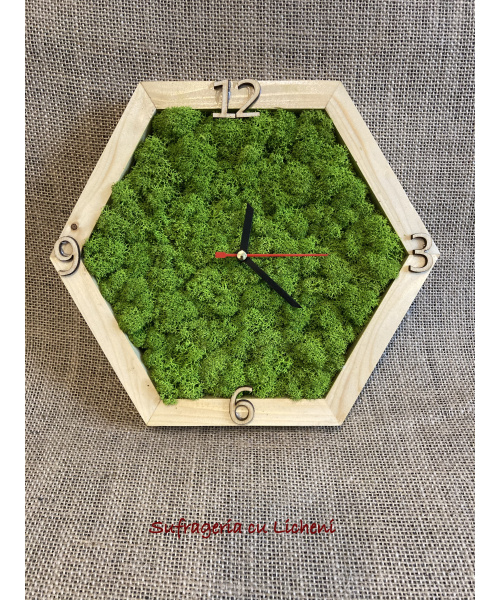 ceas_hexagon_1419512162