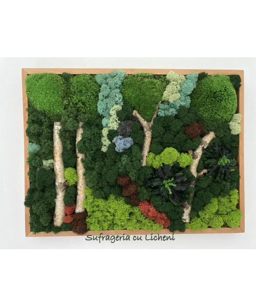 cod_1_1_12_tablou_luminis_poza_1