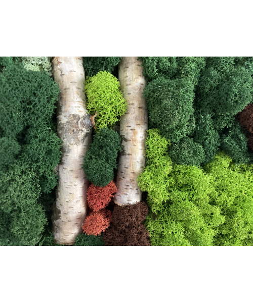 cod_1_1_12_tablou_luminis_poza_2