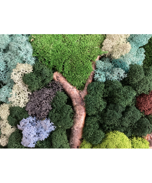 cod_1_1_12_tablou_luminis_poza_4