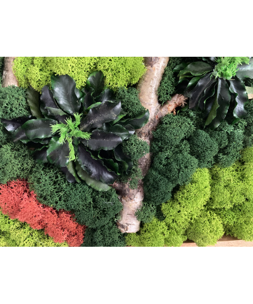 cod_1_1_12_tablou_luminis_poza_5