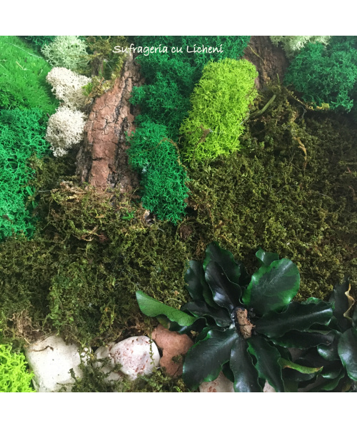 cod_1_1_6_-_2_tablou_padurice