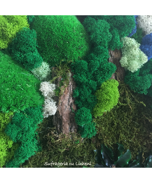 cod_1_1_6_-_3_tablou_padurice