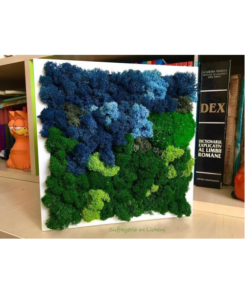 cod_1_2_14_1_tablou_padure_neagra