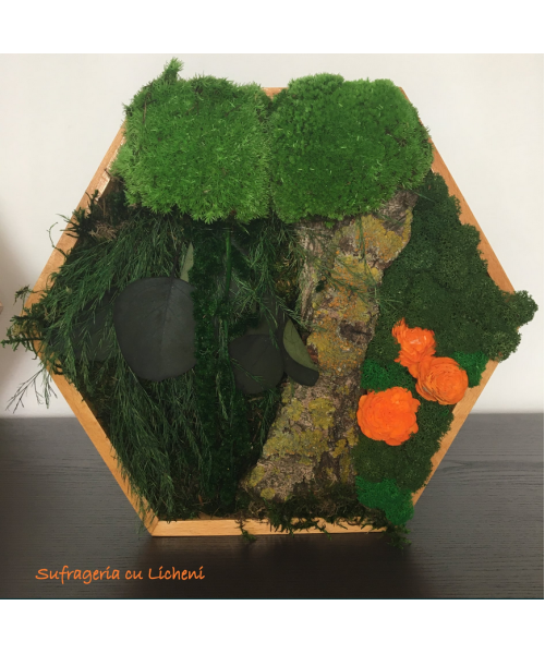 cod_1_2_20_tablou_hexagon_1_1002897691