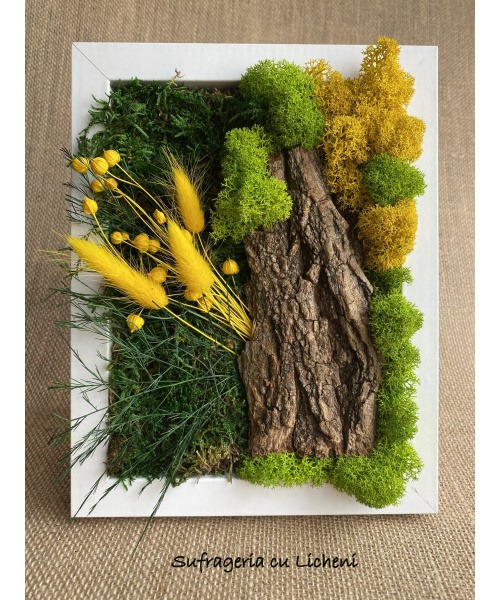 cod_1_2_23_tablou_andreea