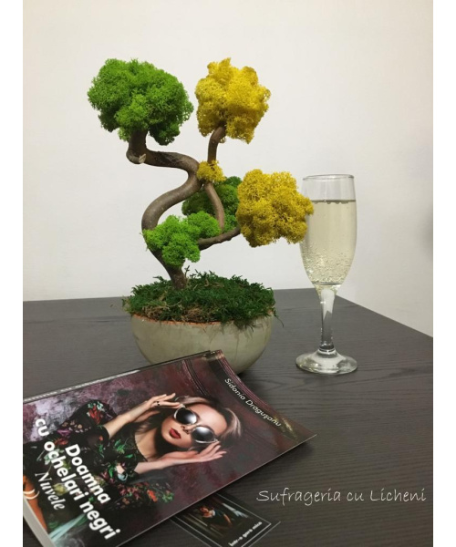 cod_2_1_poza_1_1244050451