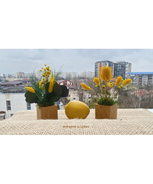 cod_4_18_aranjament_combinat