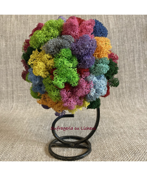 cod_4_24_aranjament_ce_chestie_poza_4