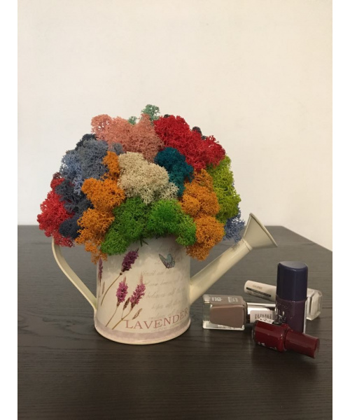 cod_6_3_2_stropitoare_poza_1