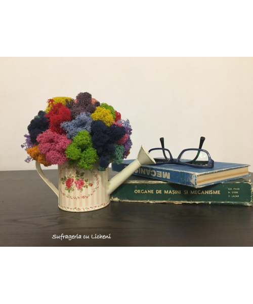 cod_6_3_3_stropitoare_poza_1