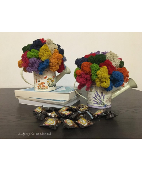 cod_6_3_3_stropitoare_poza_2