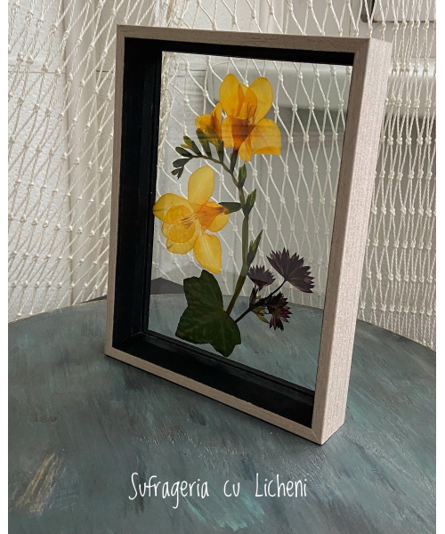 e2a1e6c8-7d4e-454d-93cf-07d5f17e9664