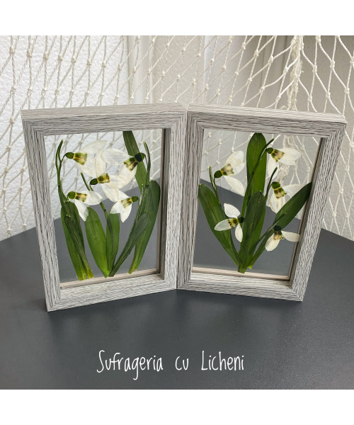 fullsizerender-1_130986153