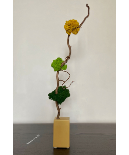 fullsizerender-1_417995546