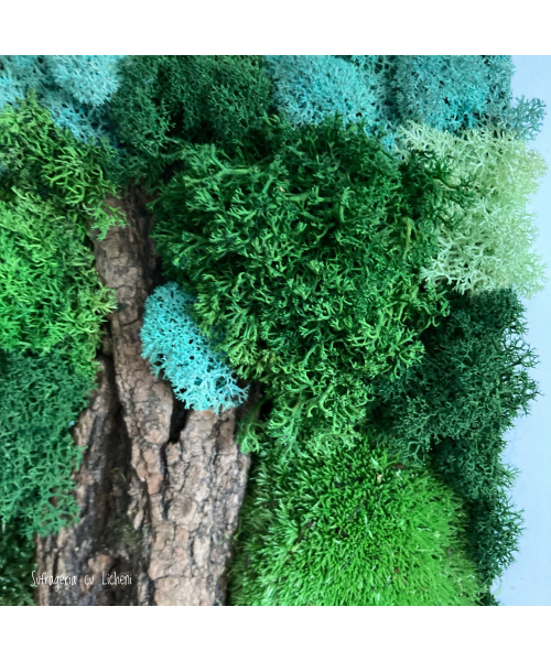 fullsizerender-2_17870749