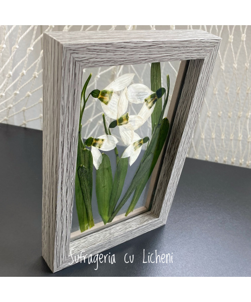 fullsizerender-3_1888501729