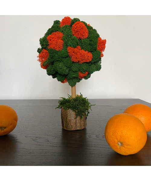 fullsizerender-4_1737317276