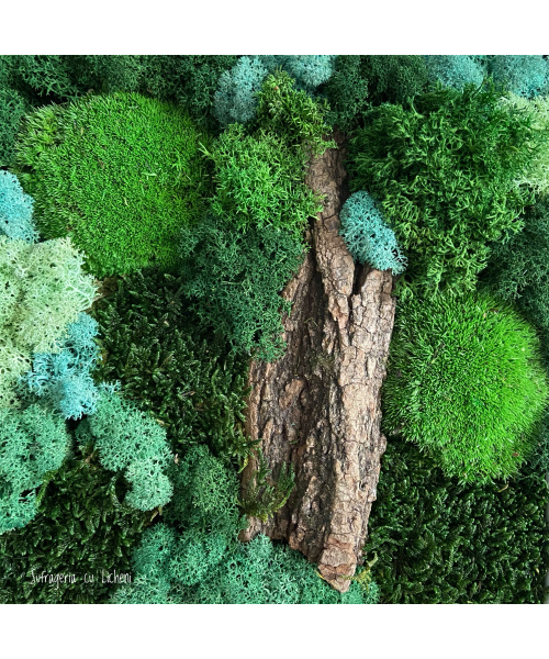 fullsizerender_1045576511