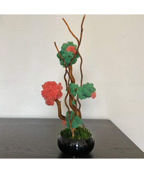 fullsizerender_2_1501706346