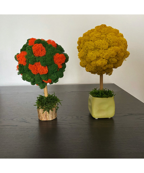 fullsizerender_812537397