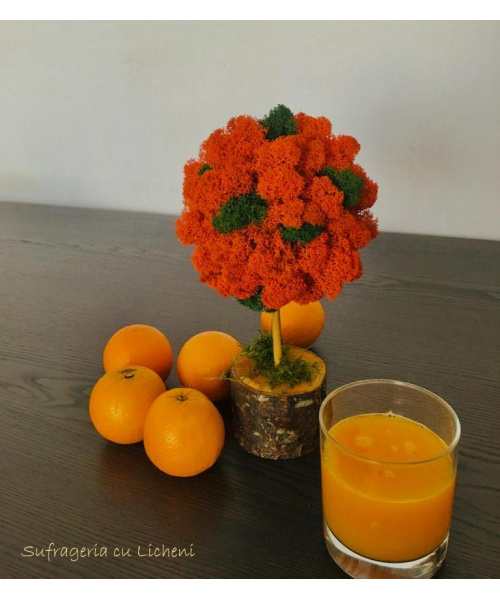 pomisor_portocaliu_242971251